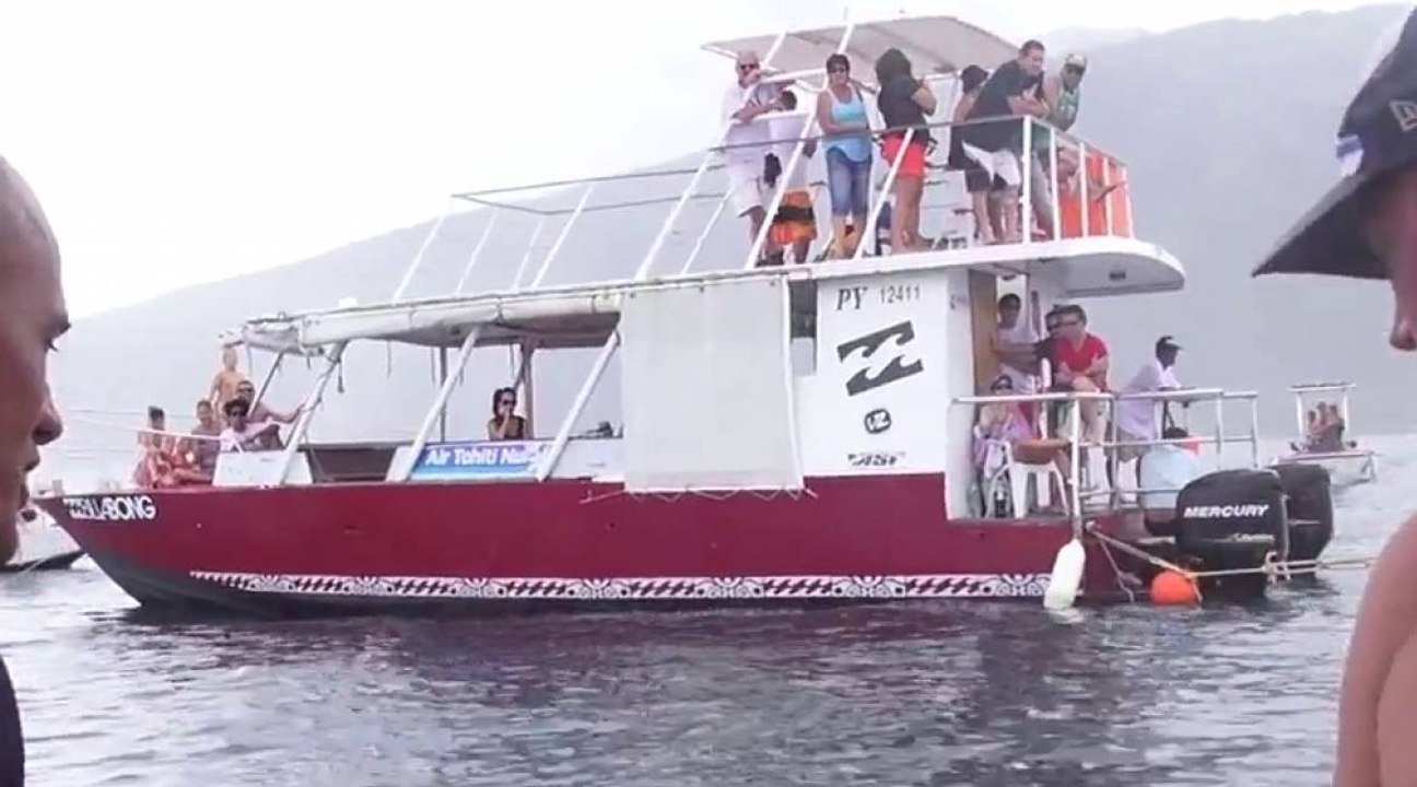 La vie dans le chenal de Teahupoo pendant le Billabong Pro Tahiti