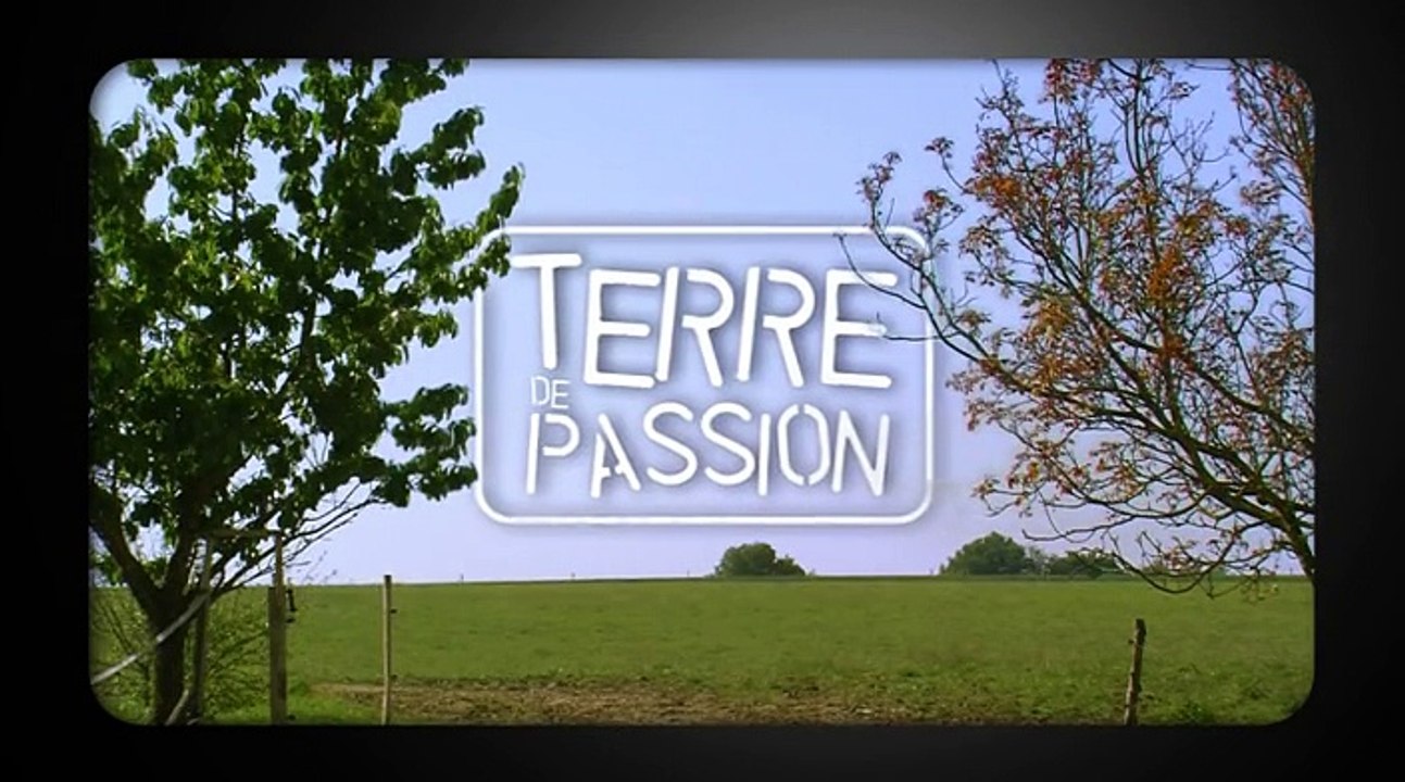 TDP2-EPISODE11-Relations de travail
