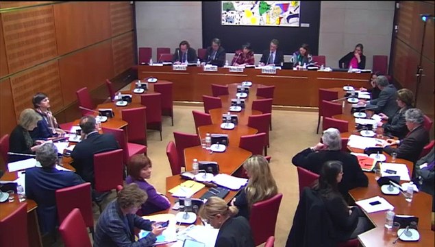 Intervention d'Hervé Féron en Commission des Affaires Culturelles et de l'Education : Audition des auteurs du rapport « Bâtir un cadre stabilisé et sécurisé pour les intermittents du spectacle »