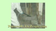 Initiate A Mold Removal Program To Save The Structural Integrity Of A Building