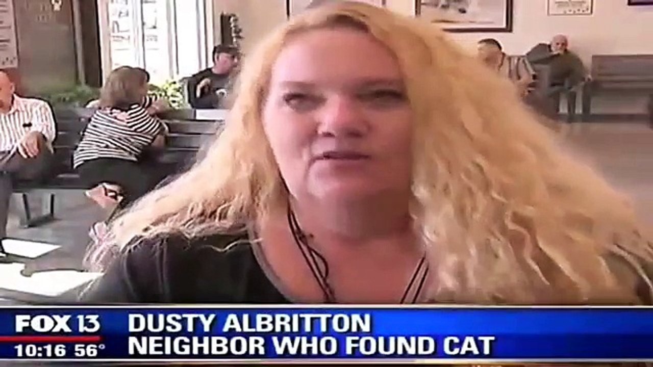 Un chat déclaré mort et enterré revient à la maison