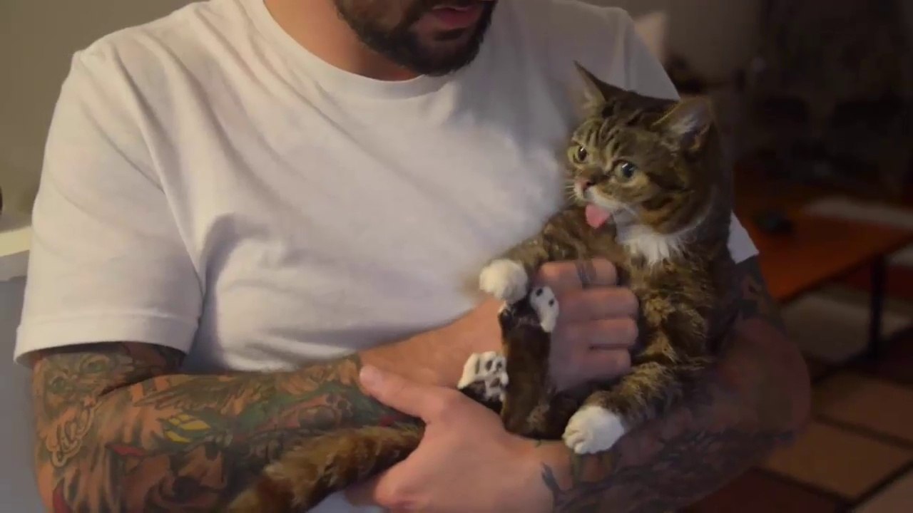 How to BATHE a BUB