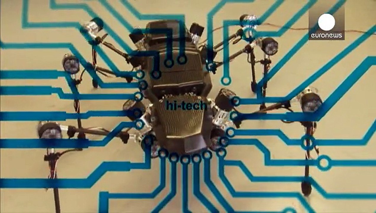 Moi, Hector, robot insecte à six pattes