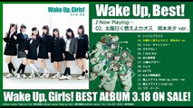 V.A.   Wake Up, Best！「太陽曰く燃えよカオス (岡本未夕 ver.)」試聴用