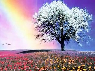 Song for Peace Kitaro