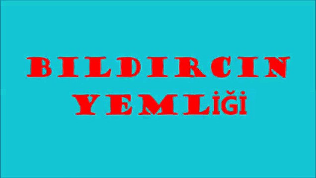 Bıldırcın yemliği,bıldırcın yemlikleri,bıldırcın yemlik,bıldırcın yemlikleri fiyatı,bıldırcın yemlikleri fiyatları,bıldırcın yemliği fiyatı,bıldırcın yemliği fiyatları