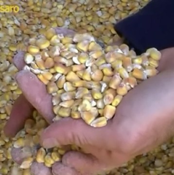 Pesaro e Urbino (PU) - Prosegue l’operazione “Vertical Bio”, sequestrati beni per 26 milioni (28.01.15)