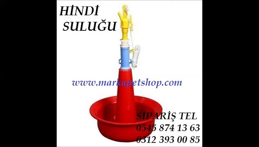 hindi sulukları ankara,hindi sulukları İstanbul,HİNDİ SULUĞU,HİNDİ SULUKLARI,HİNDİ SULUK,