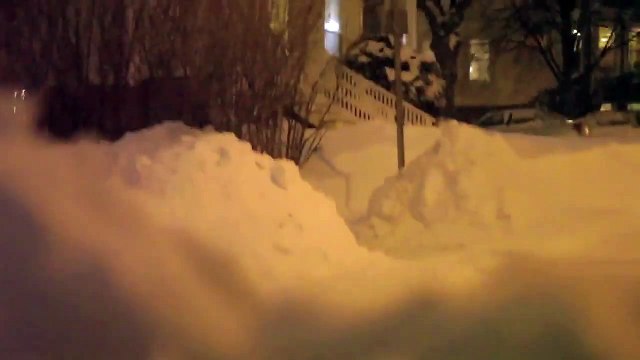 Un Yéti aperçu à Boston