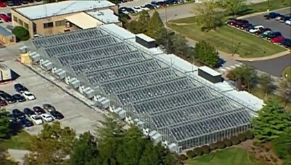 Le Monde selon Monsanto