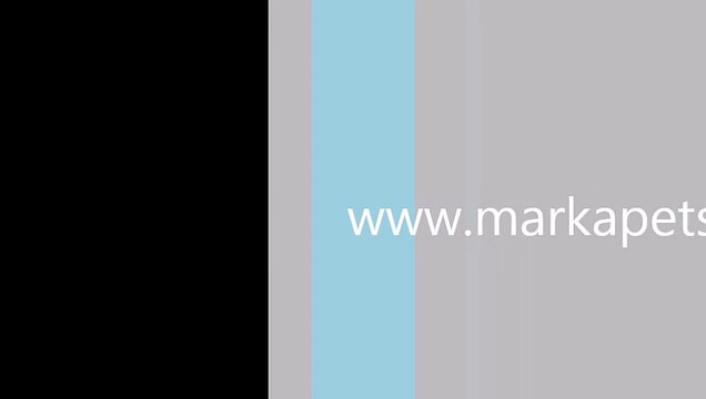 kedi tuvalet kabı,kedi tuvalet kapları,en ucuz kedi tuvaleti,kapalı kedi tuvaleti