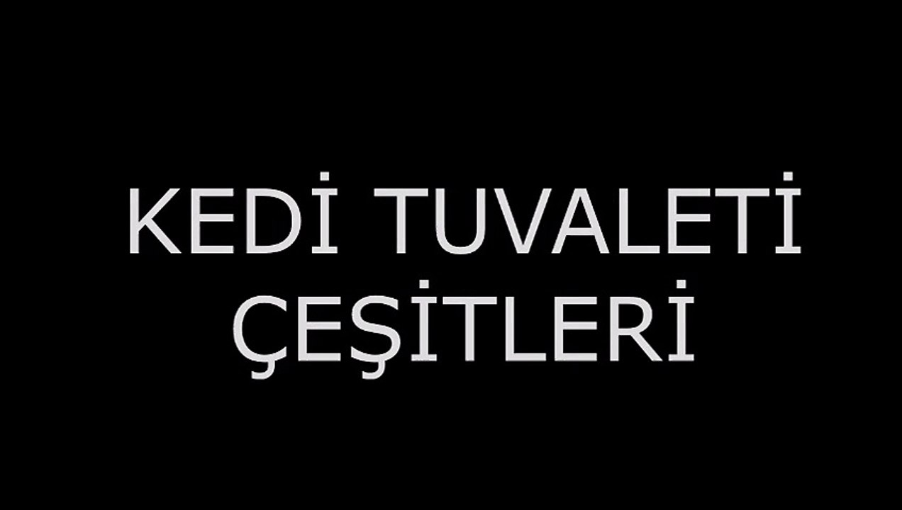 Kedi tuvaleti,kedi tuvaleti fiyatları,kedi tuvaleti fiyatı,kedi tuvaletleri,kedi tuvaleti eğitimi
