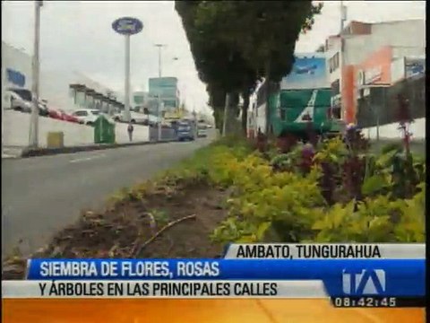 Ambato recupera zonas verdes con las siembra de flores y árboles