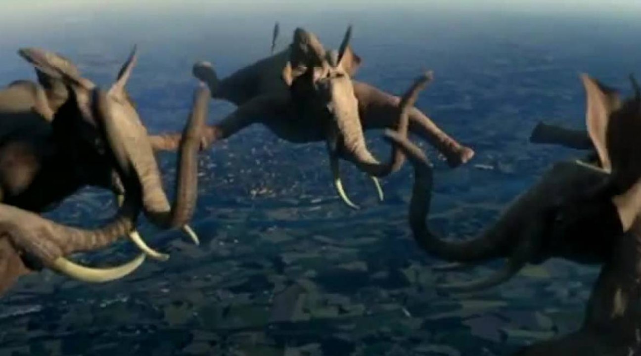 Les animaux de France 3 se mettent aux sports extrêmes