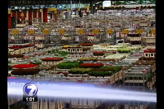 Sector comercio pide aprobación de acuerdo con Unión Europea
