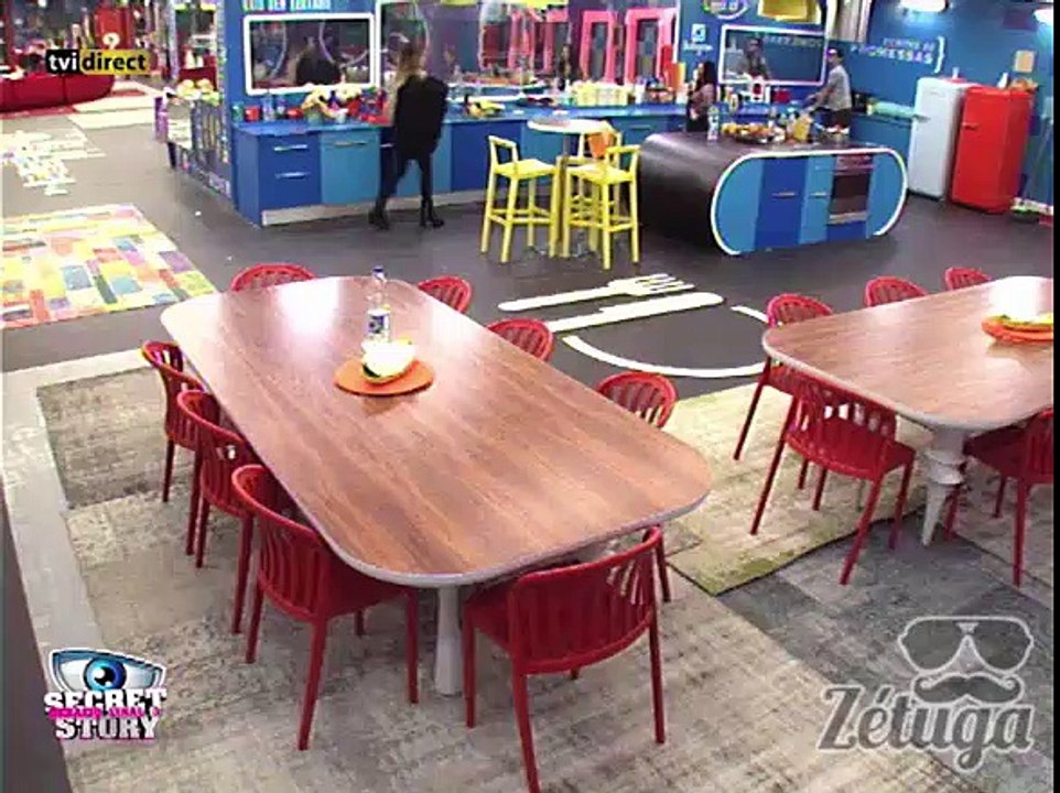 Casa dos Segredos está infestada de formigas e comida estragada