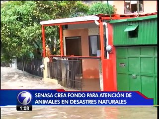 SENASA crea fondo para atención de animales durante desastres naturales
