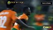 Max-Alain Gradel amazing goal - Cameroun vs Côte d'Ivoire 0-1 (Cameroon vs Ivory Coast 0-1 ) - CAN 2015