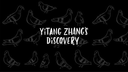 Annals of Ideas - Yitang Zhang’s Discovery