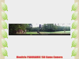 Moultrie PANORAMIC 150 Game Camera