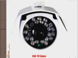 GW Security GW25WD Professional 700TVL 1/3-Inch Sony Super HAD CCD II Outdoor Security Camera