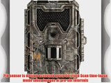 Bushnell 8MP Trophy Cam HD Bone Collector Edition Black LED Trail Camera with Night Vision