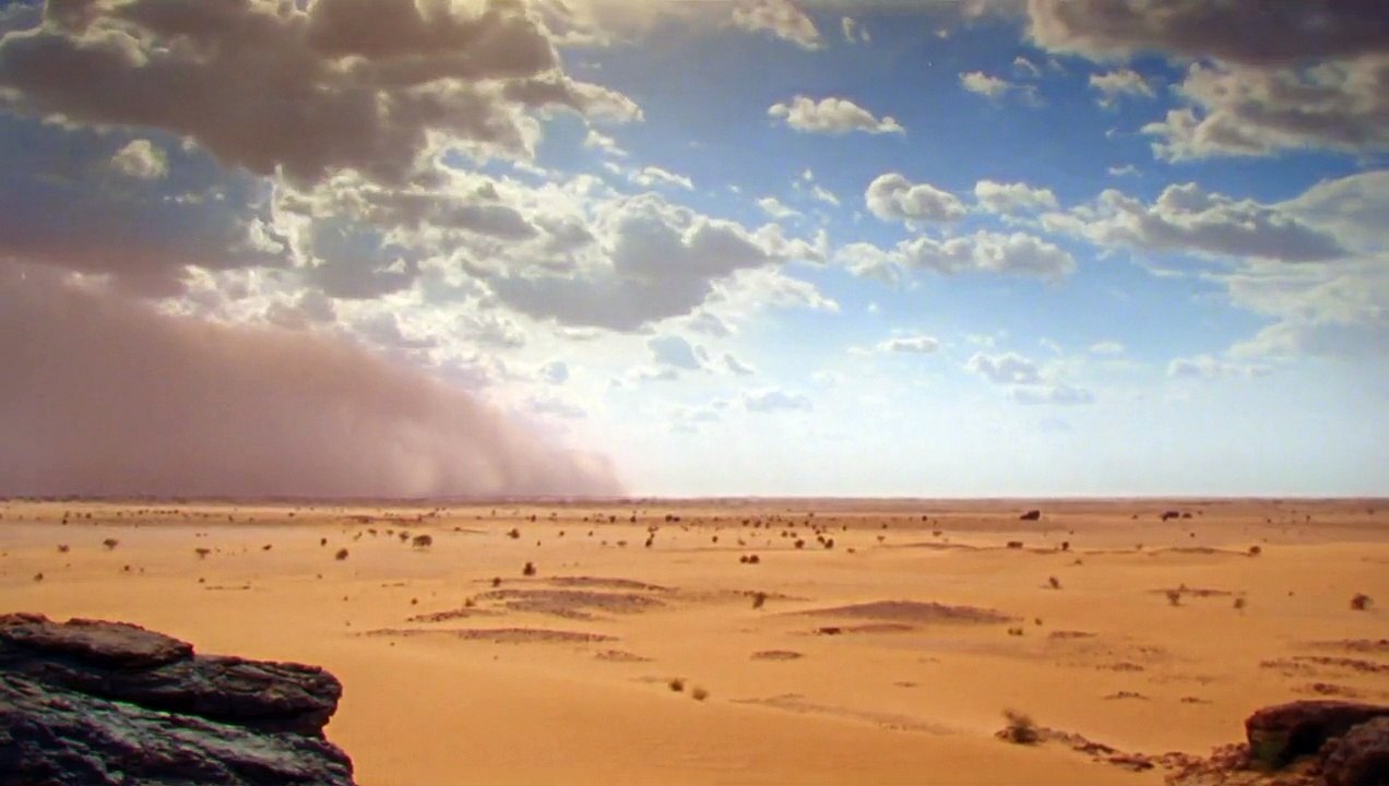 Çöldeki çoban ve fillerin su mücadelesi ( Seslendirme :  Tuncel Kurtiz )