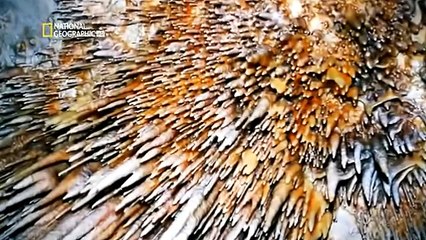 El Gran Diluvio (Historia)