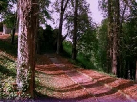 Clip poupine & thierry les wriggles