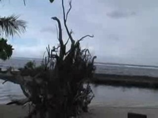 Polynesie Motu à Moorea