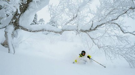 Konichiwa Japan : la poudreuse sans fond au pays des Samouraïs