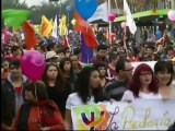 Chilean Congress approves civil unions law