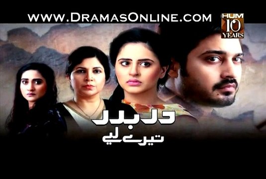 Darbadar Tere Liye Promo Last Episode 21 on Hum Tv 28th January 2015