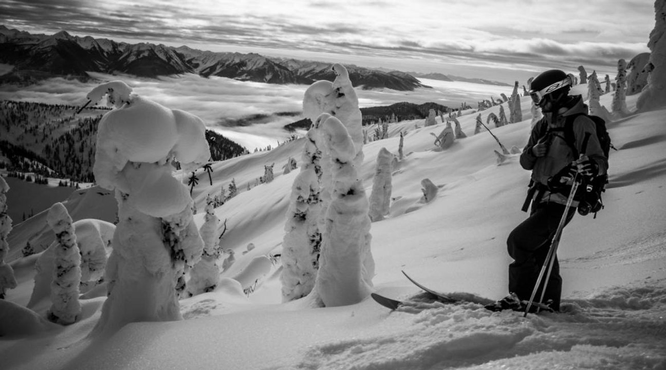Enak Gavaggio : gavage de poudreuse