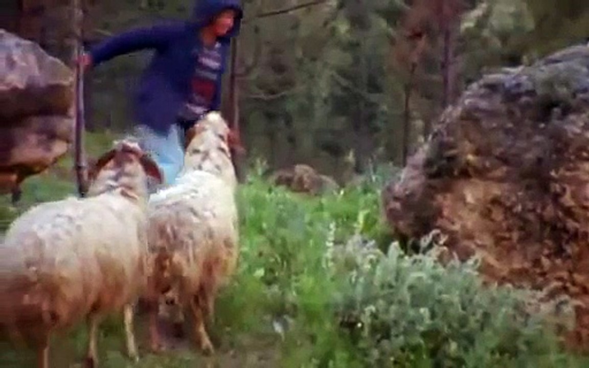 El Misterio de la Sabana Santa