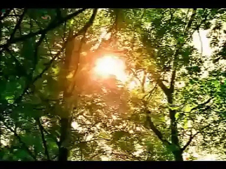 El Paso del Tiempo - Ciencia