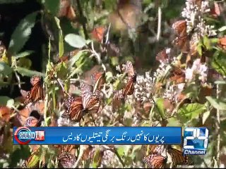 International Round Up 28th January 2015