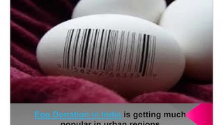 Egg Donation in India-Egg Donation in Delhi india