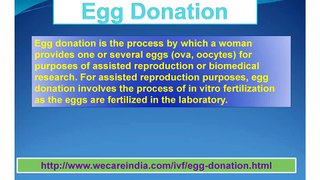 Egg Donation in India-Egg Donation Clinic in Mumbai