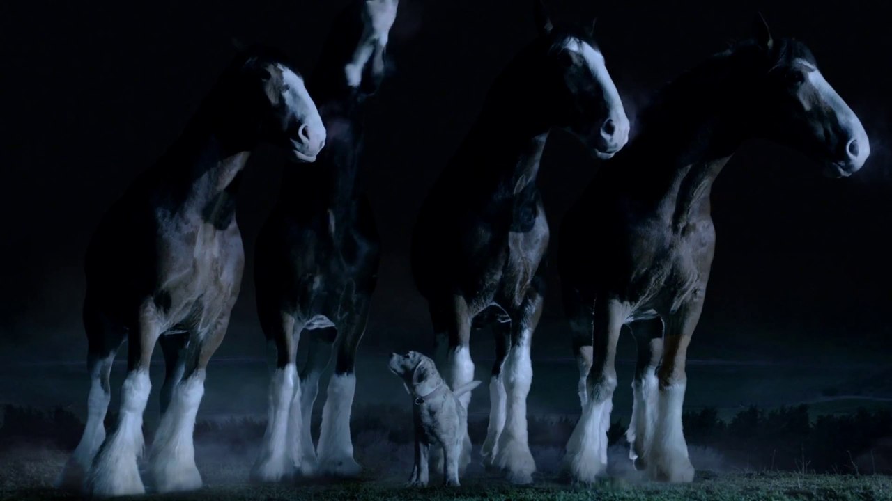 So cute and touching TV ads : 2015 Budweiser Super Bowl Commercial “Lost Dog”