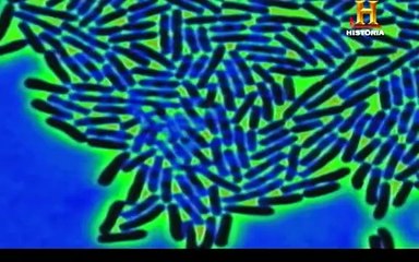 El Sistema Digestivo-Ciencia