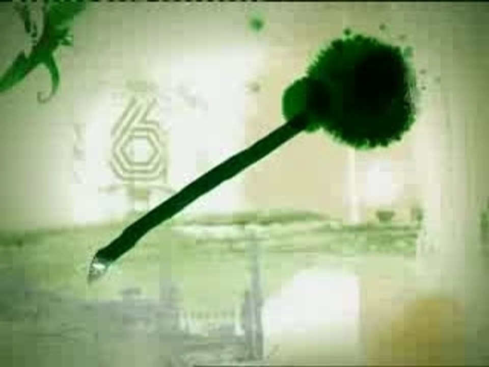 Cortinilla La Sexta (2007)