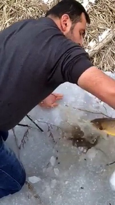 Bayburt ta  ELLE Balık  Avı