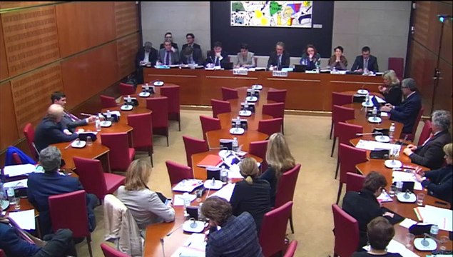 Audition de Mme Najat Vallaud-Belkacem, ministre, sur la Grande mobilisation de l'Ecole pour les valeurs de la République - Mercredi 28 Janvier 2015