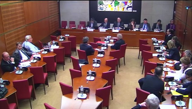 Audition de M. Raphaël Liogier, directeur de l'observatoire du religieux à l'institut d'études politiques d'Aix-en-Provence - Mercredi 21 Janvier 2015