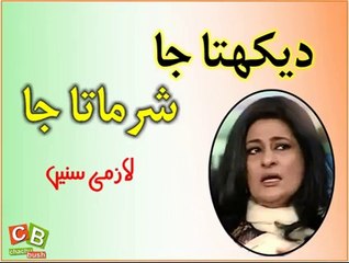 دیکھتا جا، شرماتا جا