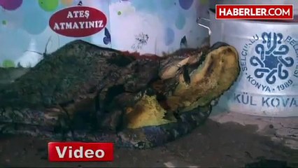 Engelli Çocuk Yanarak Ağır Yaralandı