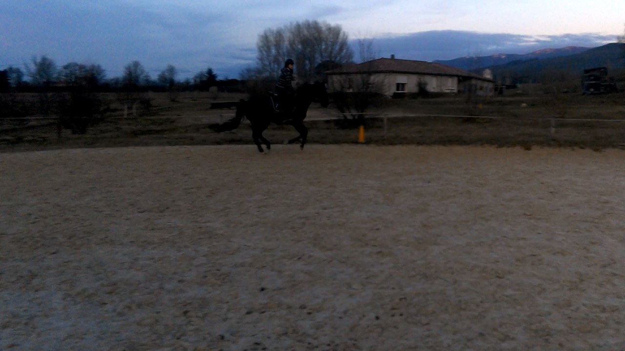 Entrainement CSO - 280115 - 7