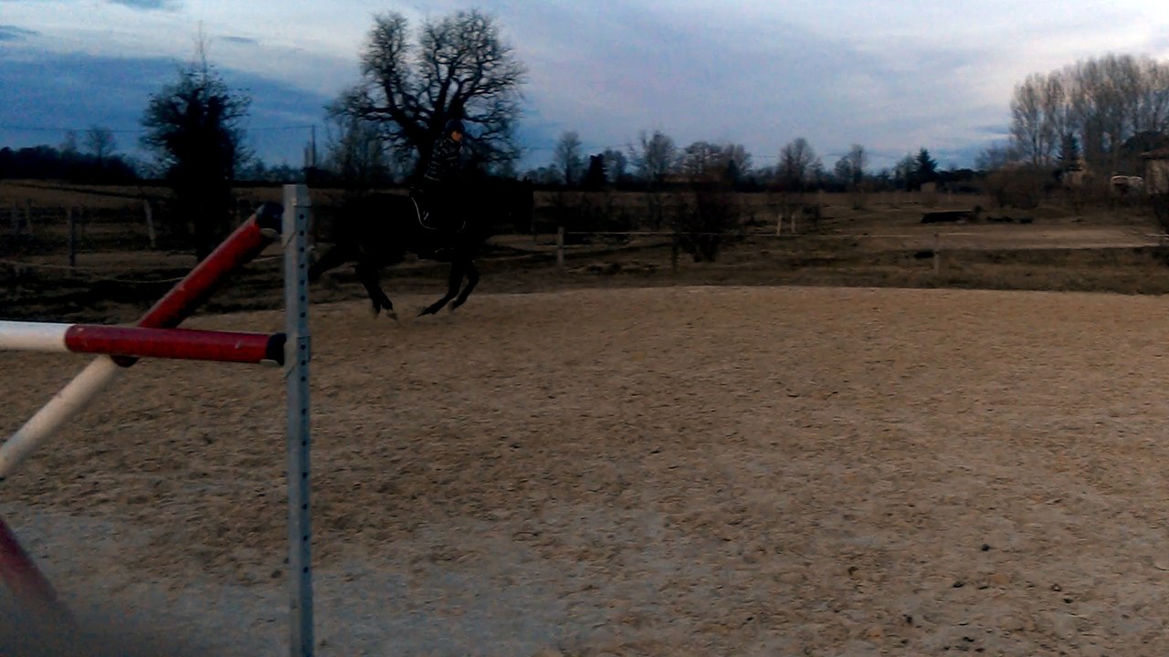 Entrainement CSO 280115 - 6