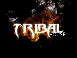 Tribal Zone